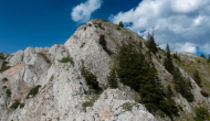 DSC09910