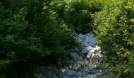 P1040396