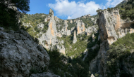 P1040977