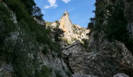 P1040996