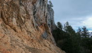 P1040782