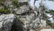 P1040801