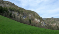 P1050724