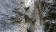 P1050058