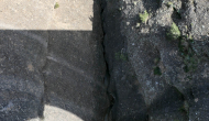 P1050076
