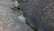 P1050078
