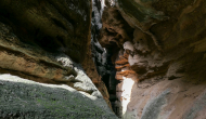 P1050104