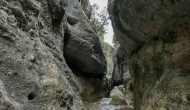 P1050163