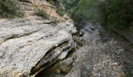 P1050178