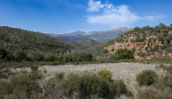 P1050189