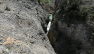 P1050194