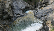 P1050205