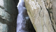 P1050229