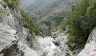 P1050236