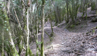 P1050245