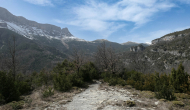 P1050247