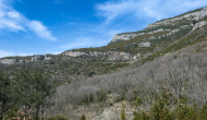 P1050248