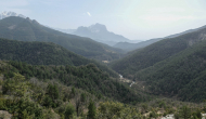 P1050249