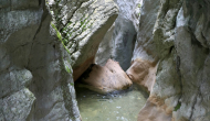 P1050334