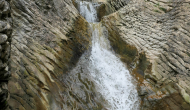 P1050337