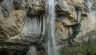 P1050352