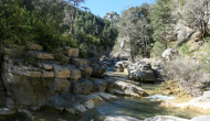 P1050358