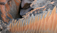 P1050393