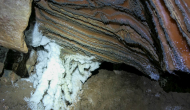 P1050419