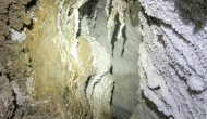 P1050444