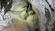 P1050445