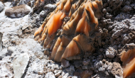 P1050460