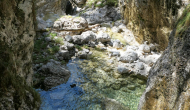 P1050805