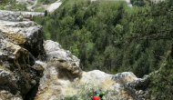 P1050839