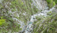 1_P1050893