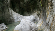 P1050931