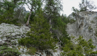 P1060086