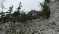 P1060090