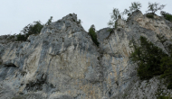 P1060092