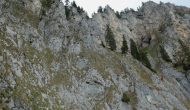P1060116