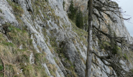 P1060121