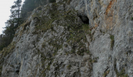 P1060131