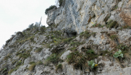 P1060136