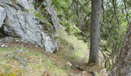 P1060165