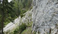 P1060177