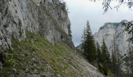 P1060178