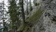 P1060181
