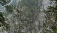 P1060191