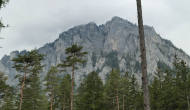 P1060199
