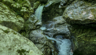 P1060484