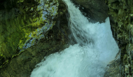 P1060491